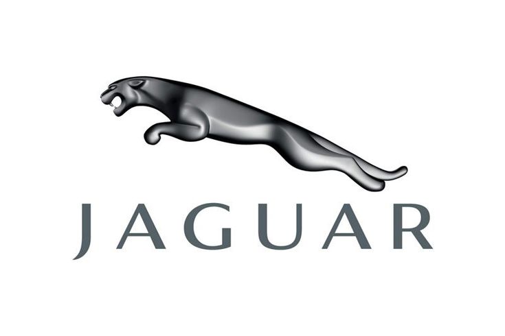 Mr12volt Car Interface for Jaguar, Jaguar Logo